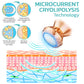 GFOUK™ Microcurrent Cryolipolysis Mini Massage Device AY 1688 