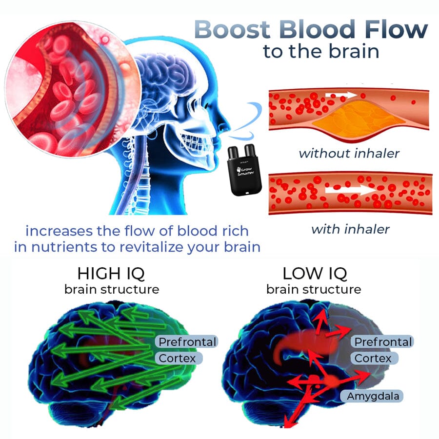 GFOUK™ GrowSmarter NeuroRegenerative Inhaler JC 1688 